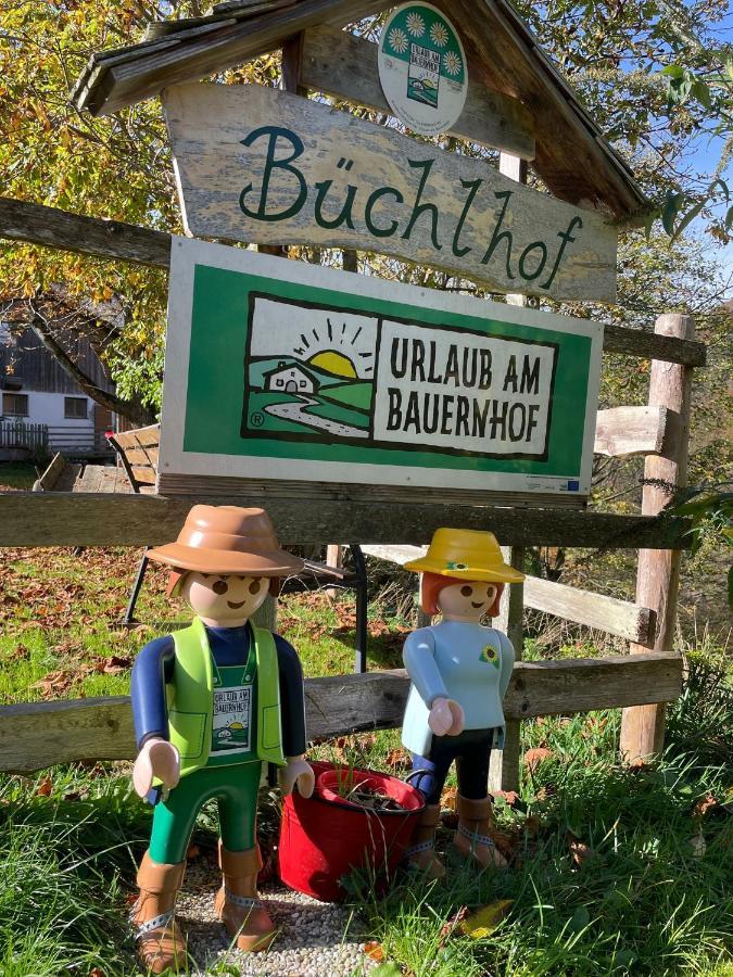 Appartamento Buechlhof - App. Himmelalm Lilienfeld Esterno foto