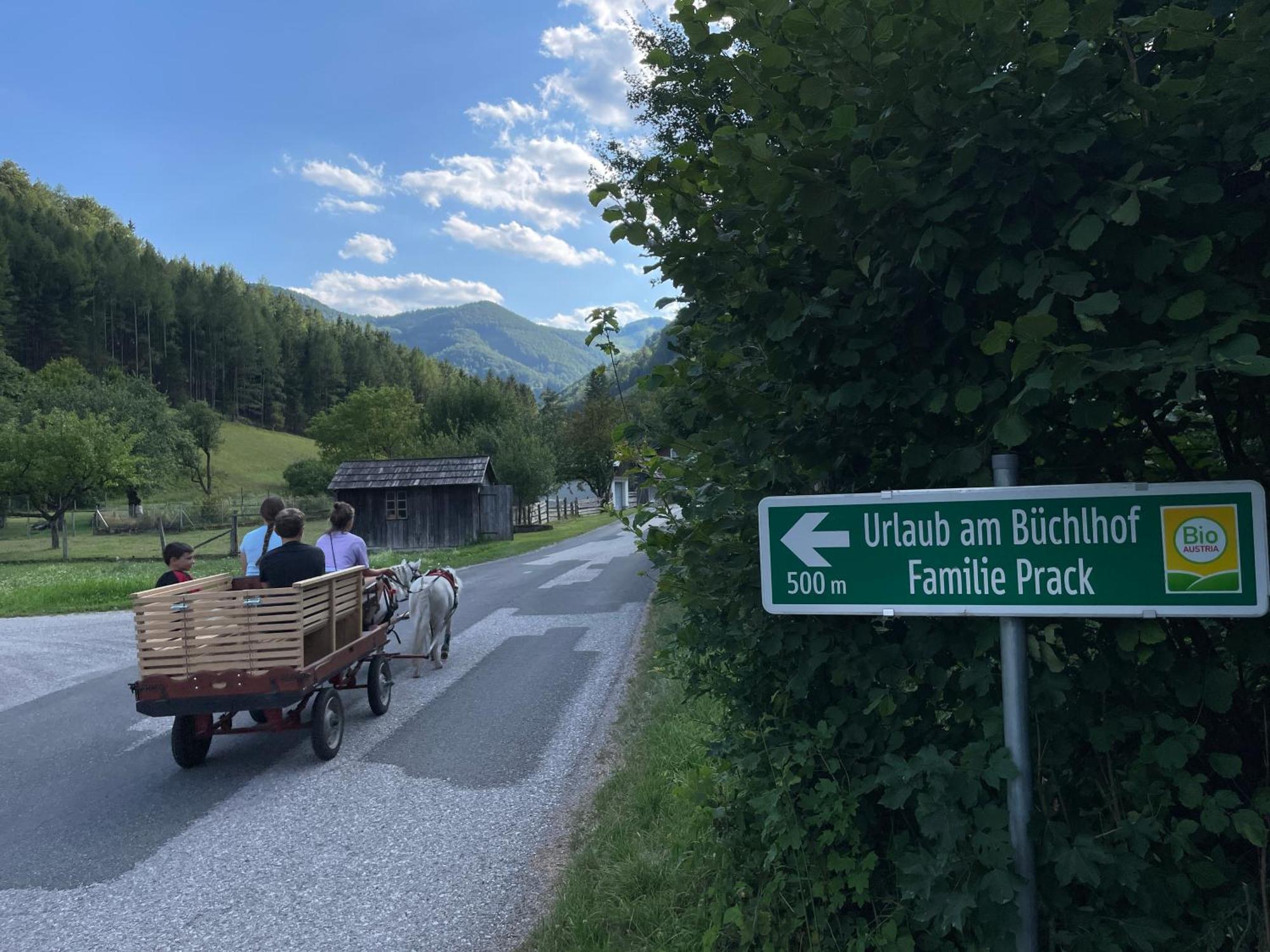 Appartamento Buechlhof - App. Himmelalm Lilienfeld Esterno foto